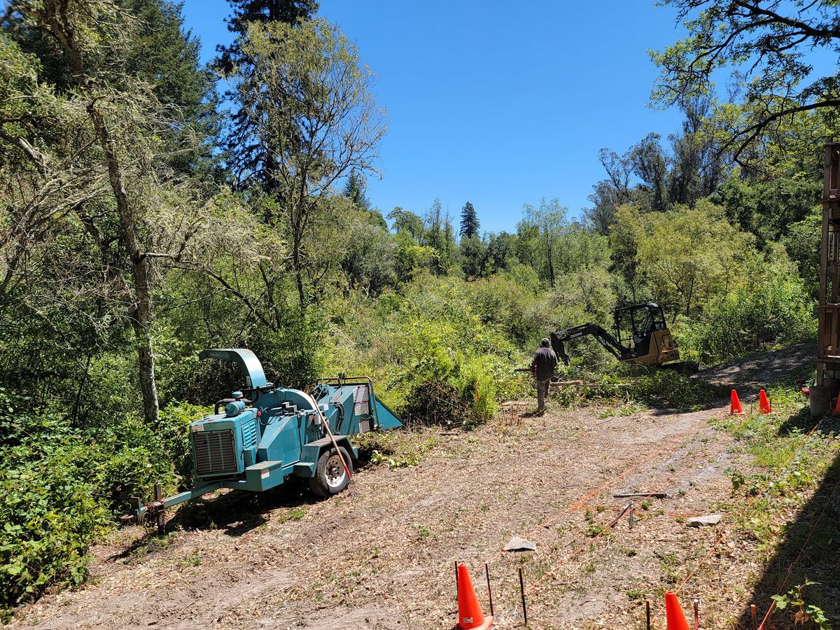 Land Clearing for Ren Levine Construction in Sonoma County, CA