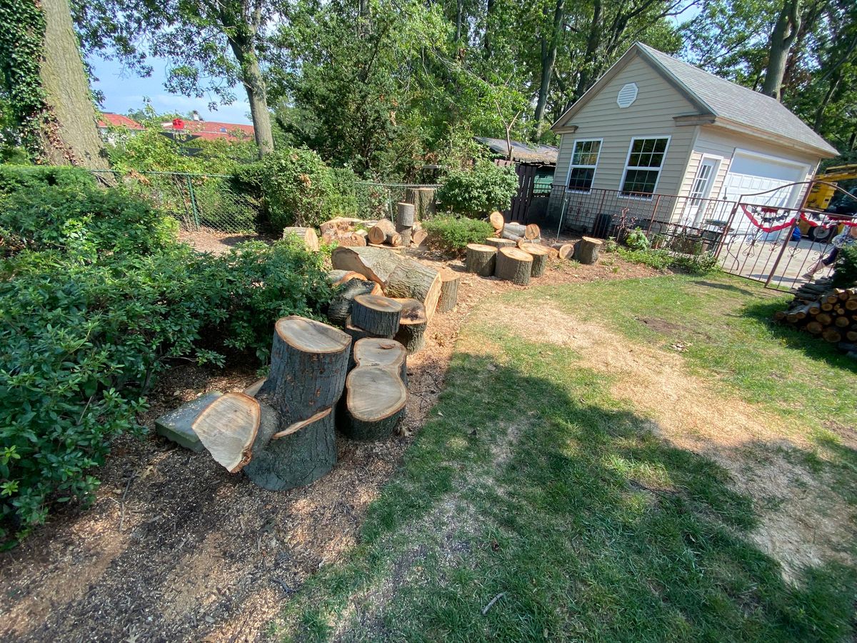 Tree Removal for Down To Earth Tree Service, LLC in Olmsted Falls, OH