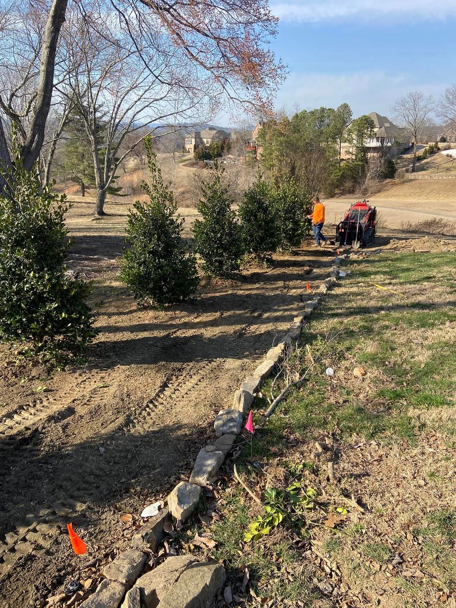 Tree Planting for Mtn. View Lawn & Landscapes in Chattanooga, TN