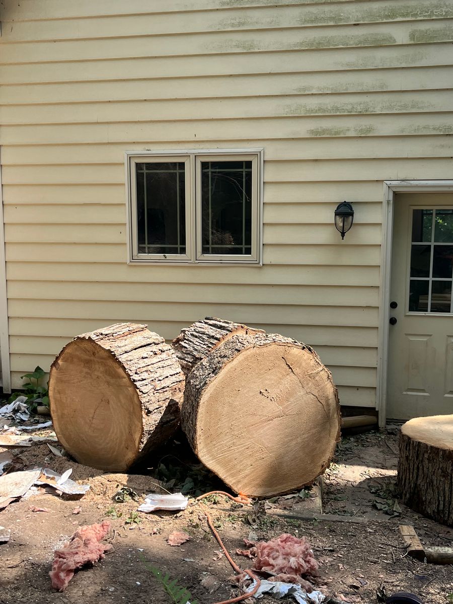 Tree Maintenance for Real Deal Lawn Care in Goodlettsville, TN