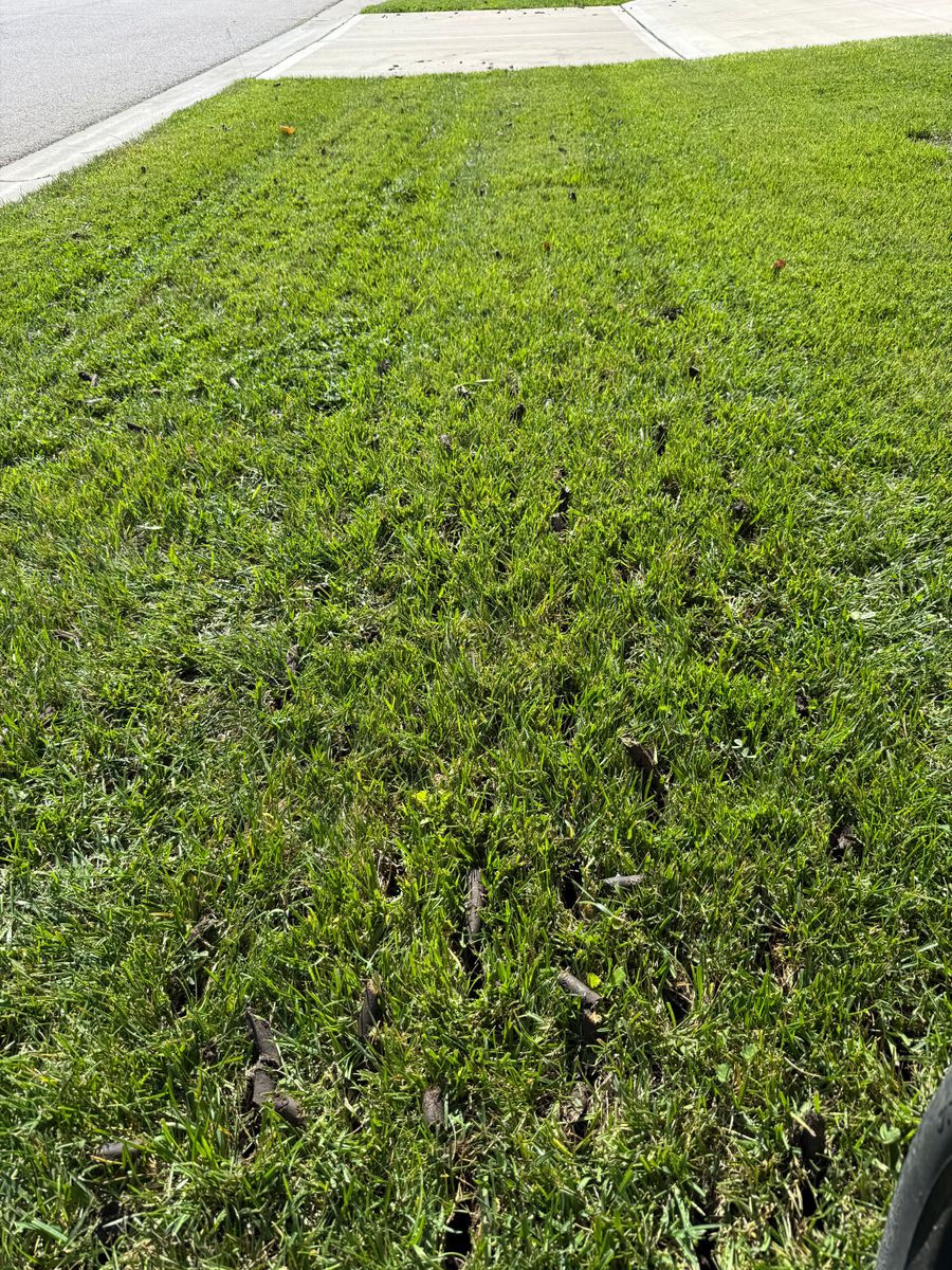 Fertilization for Elite Lawn Care Solutions in Leavenworth, KS