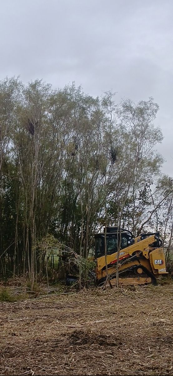 Land Clearing for Willing Trucking & Excavating in Evansville, WI