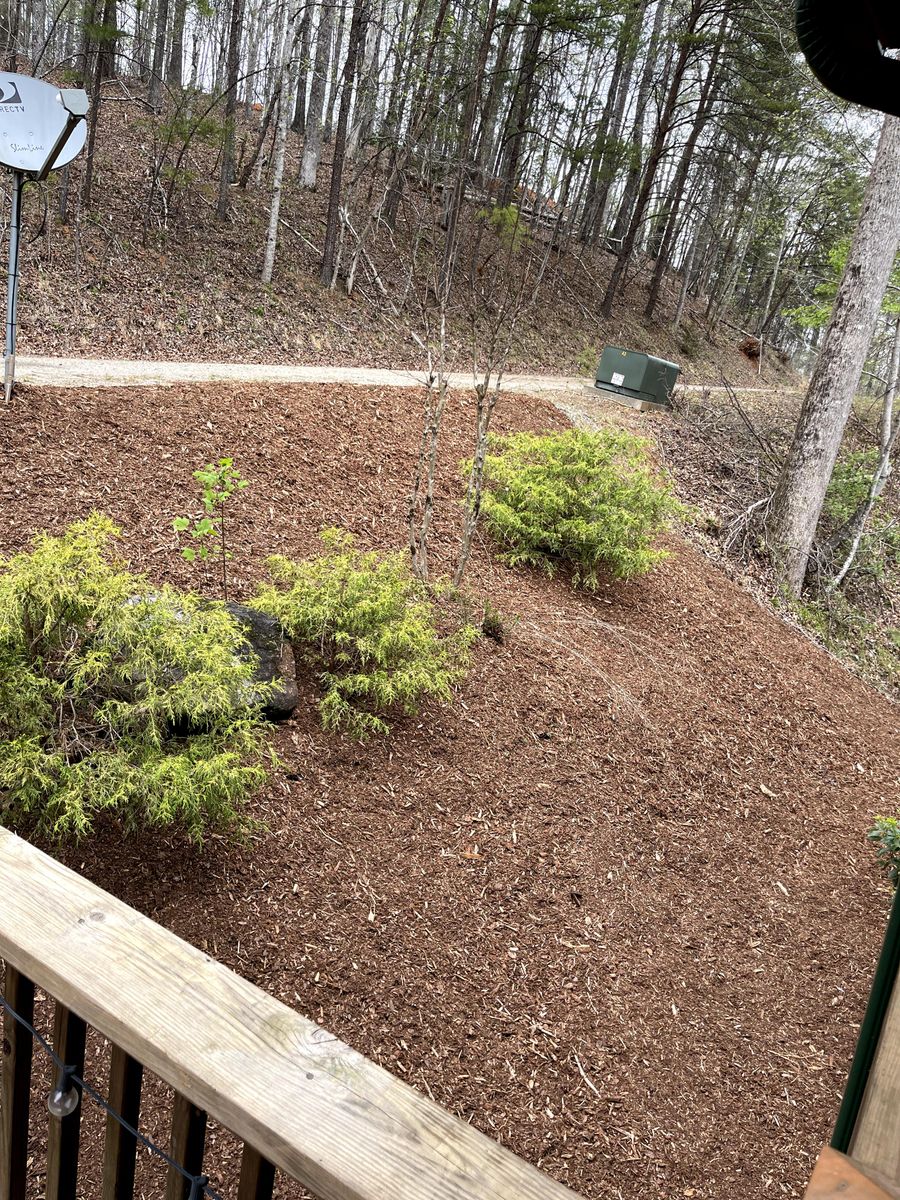 Plant Installation  for Hipp's Land Management in Tryon, NC