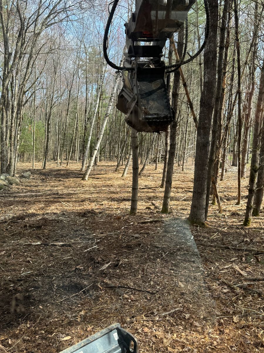 Land Clearing for AFH Earthworks in Madison, NH