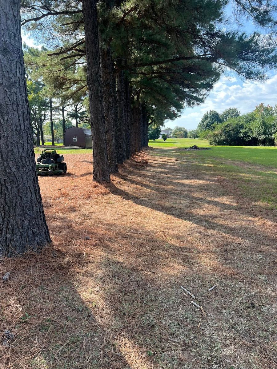 Lawn Maintenance for Zac’s Lawn and Landscaping in Fort Smith, AR