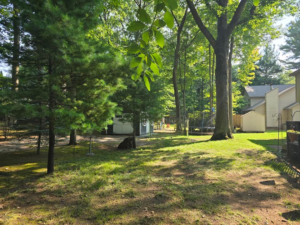 Small Tree Removal for Fred's Lawncare in Muskegon, MI
