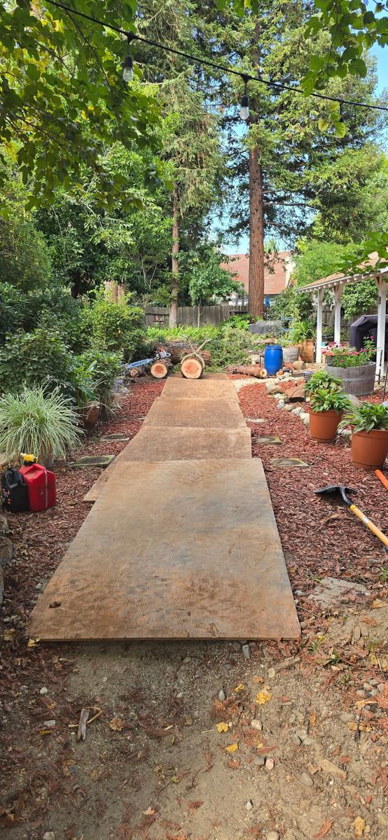 Tree Removal for George Staddan's Professional Tree Care in Placerville, CA