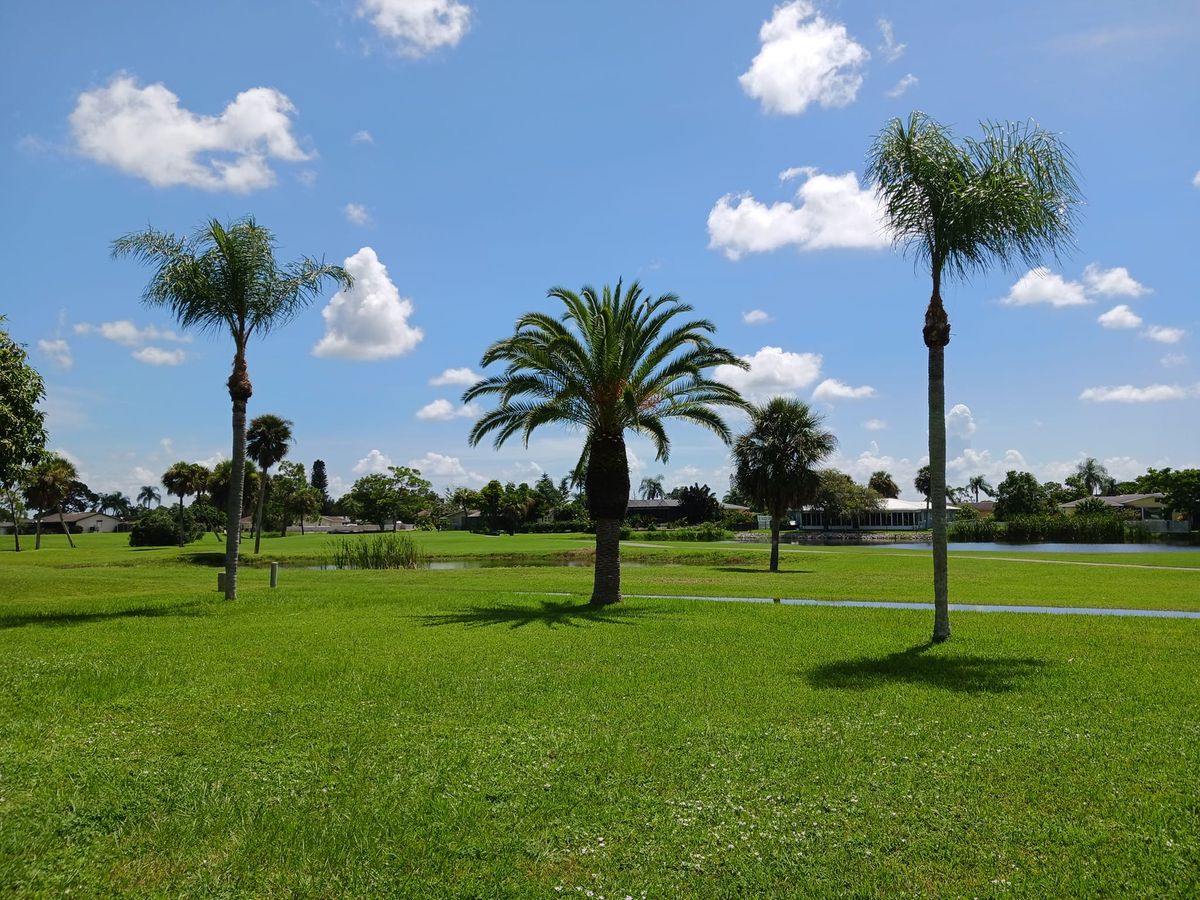 Palm Planting and Maintenance for Unity Maintenance & More LLC in Englewood, FL