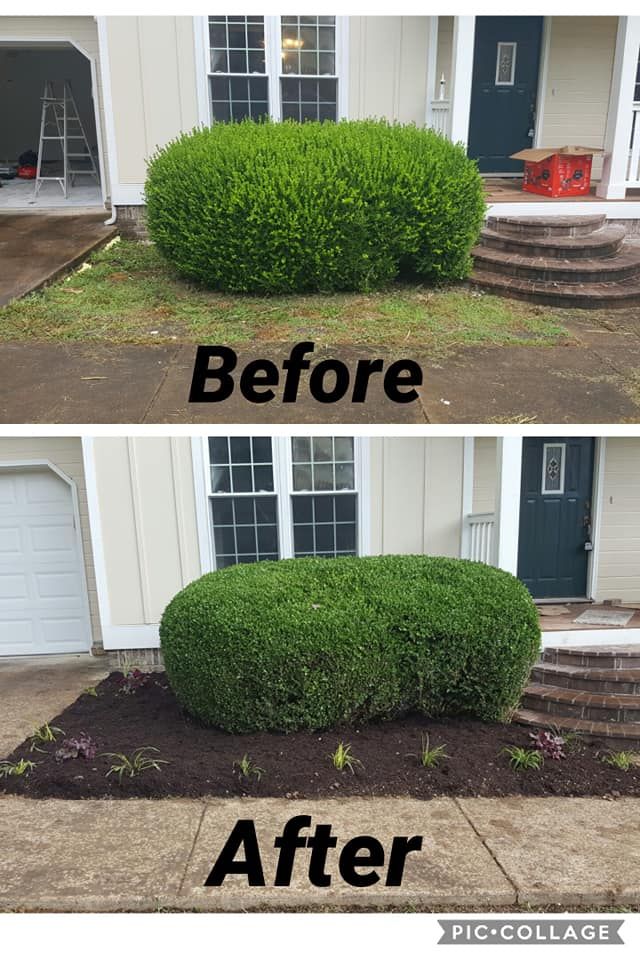 Mulch Installation for Great Honest Loyal LLC in Chattanooga, TN