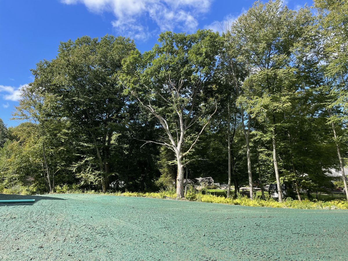 Hydroseeding for CS Property Maintenance in Middlebury, CT