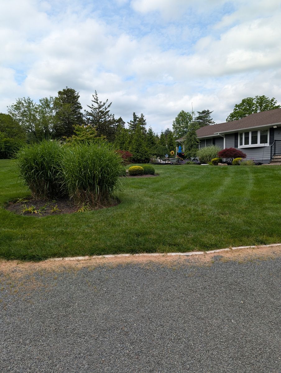 Privacy Plantings for Ettere Landscape Services in Flemington, NJ