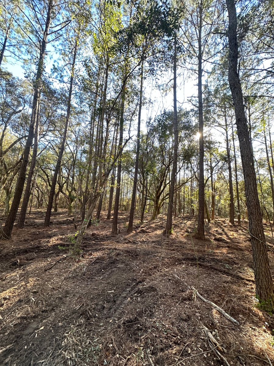 Land Clearing & Demolition for Platinum Construction llc in Pearl River, MS