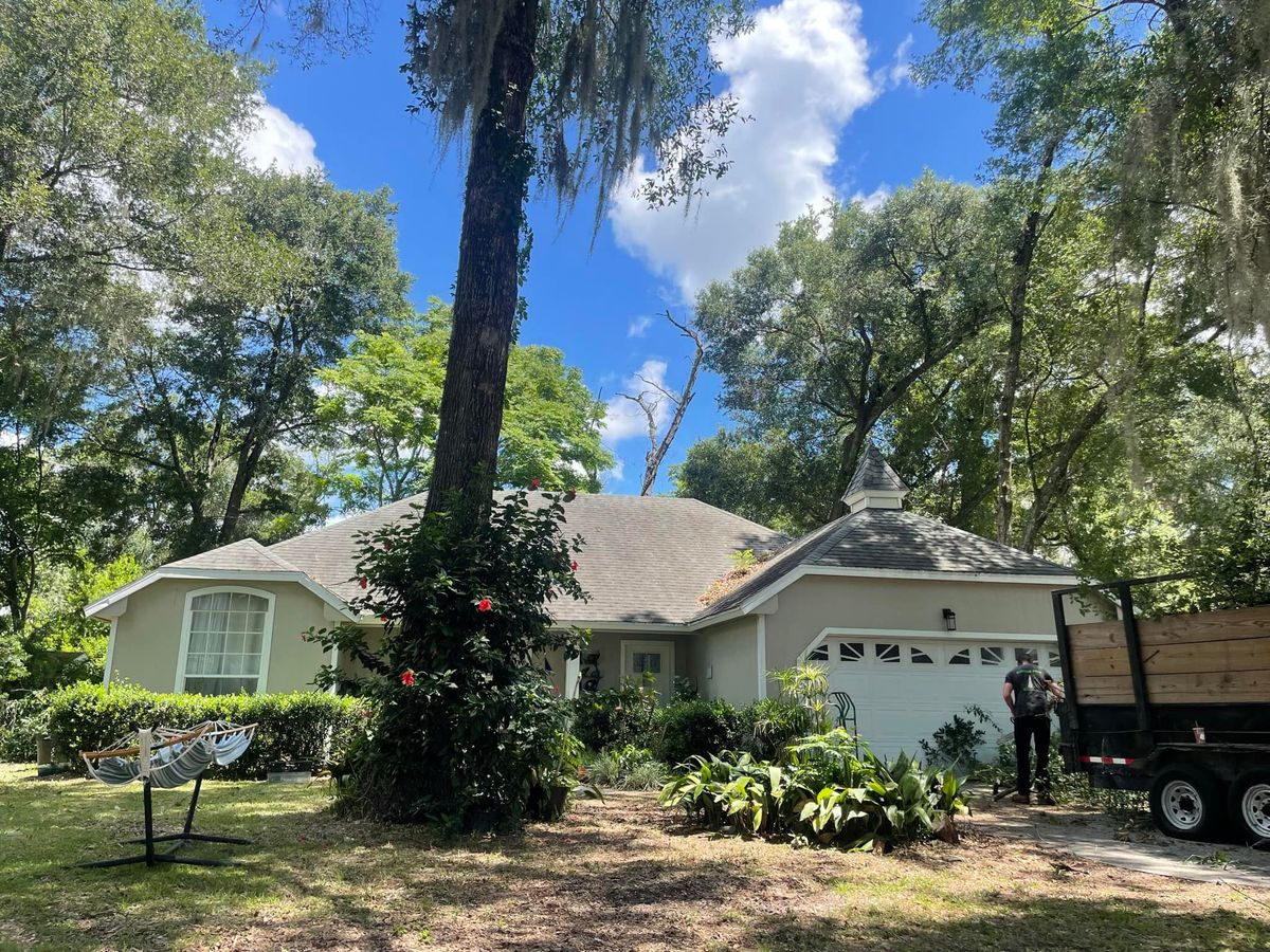 Fall Clean Up for Narrow Path Tree Service in Deland, FL