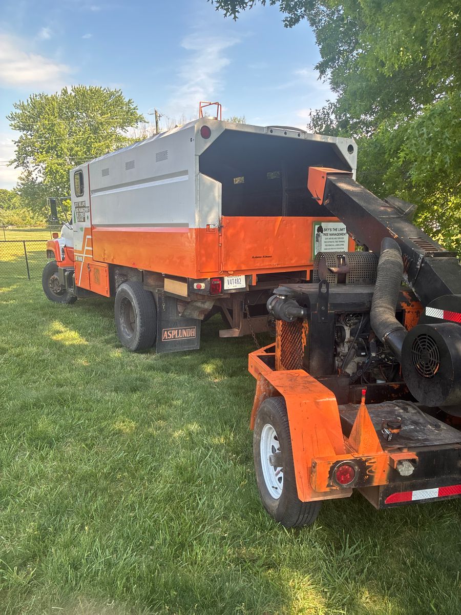 Tree Removal for Skys The Limit Tree Management in Morehead, KY