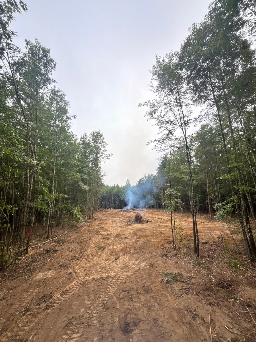 Forestry Mulching for TD Dirtworks in Tracy City, TN