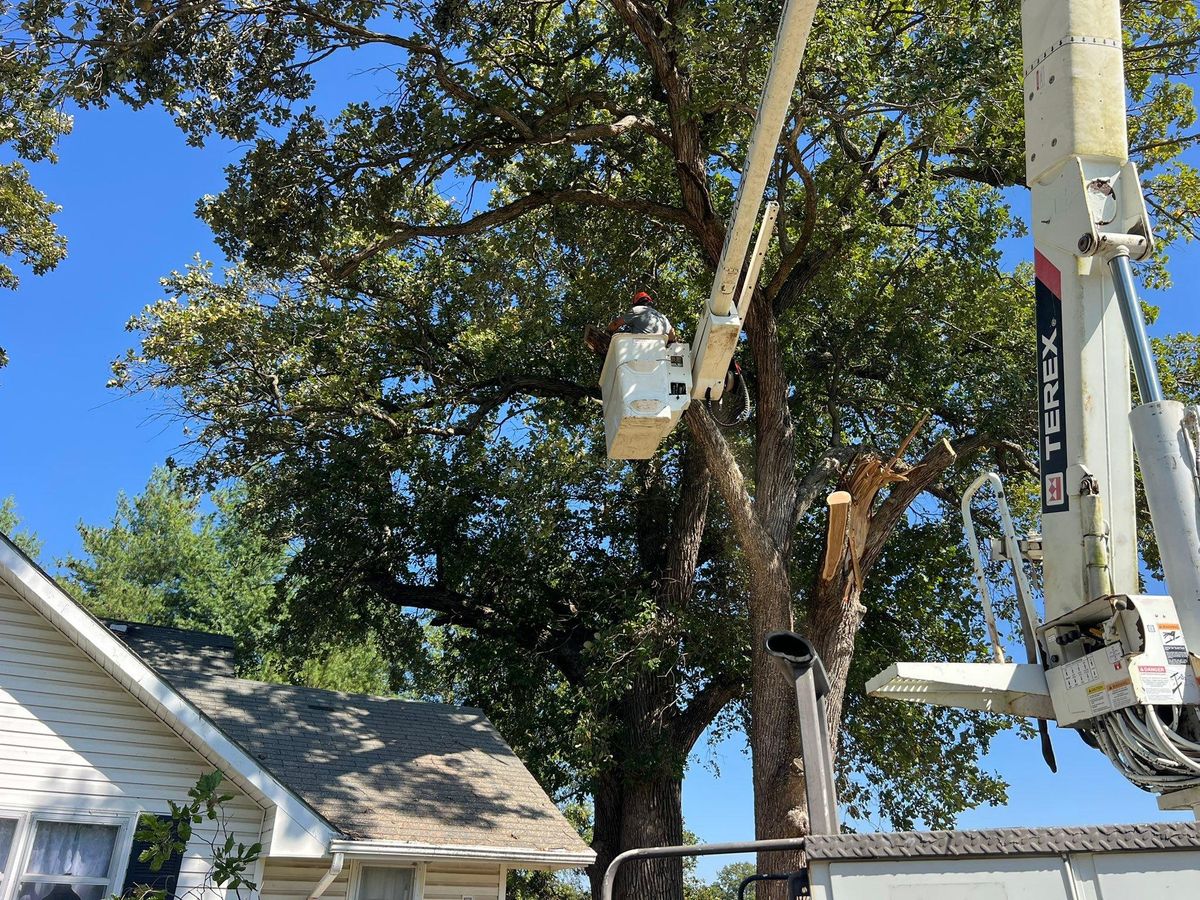 Property Clean Up for Baker Professional Services LLC in Shelbina, MO