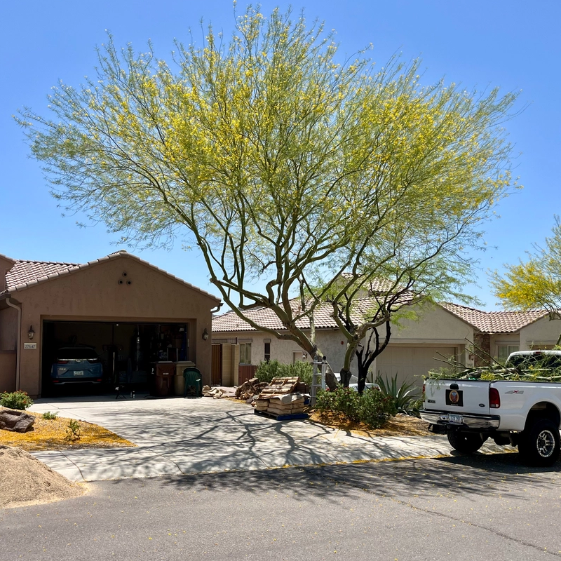 Residential Landscaping for Grand Canyon State Landscape Inc. in Surprise, AZ