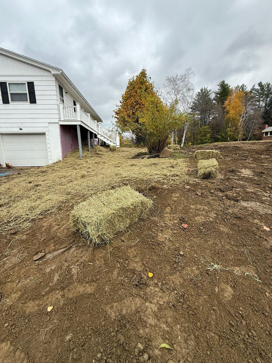 Shrub Trimming & Tree work for CWB Lawn Care & Landscaping in Franklin County, ME