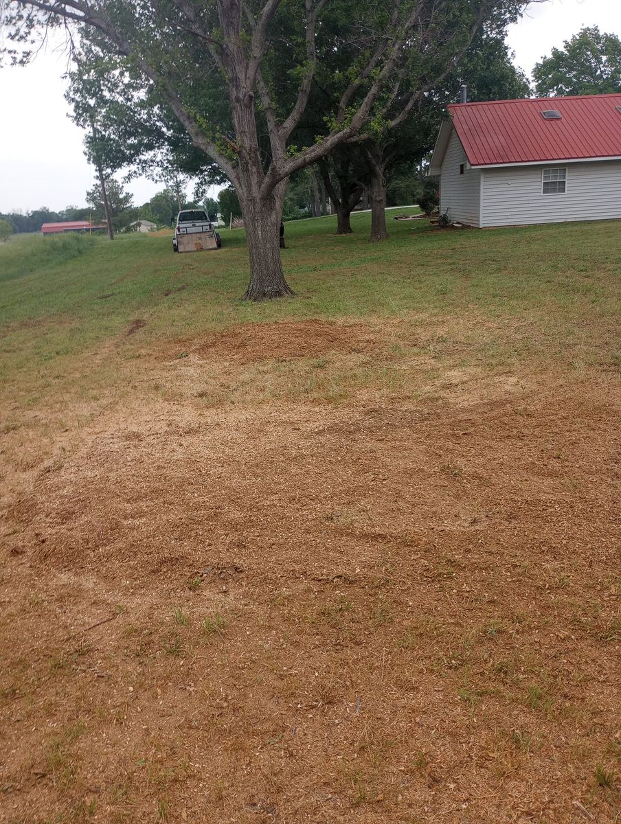 Stump Removal for Marks Tree Service in Fort Worth, TX