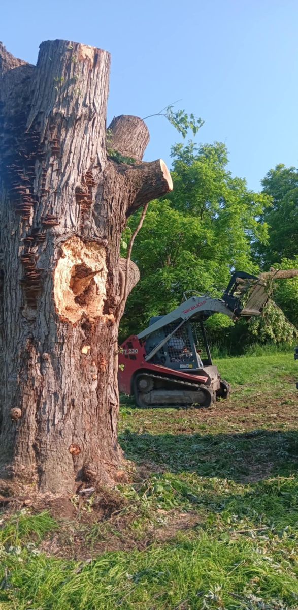 Tree Removal for Lawn Ranger Yard And Tree Service LLC in Ottumwa, IA