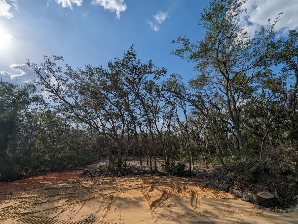 Land Clearing for Regal Tree Service and Stump Grinding in Wauchula, FL