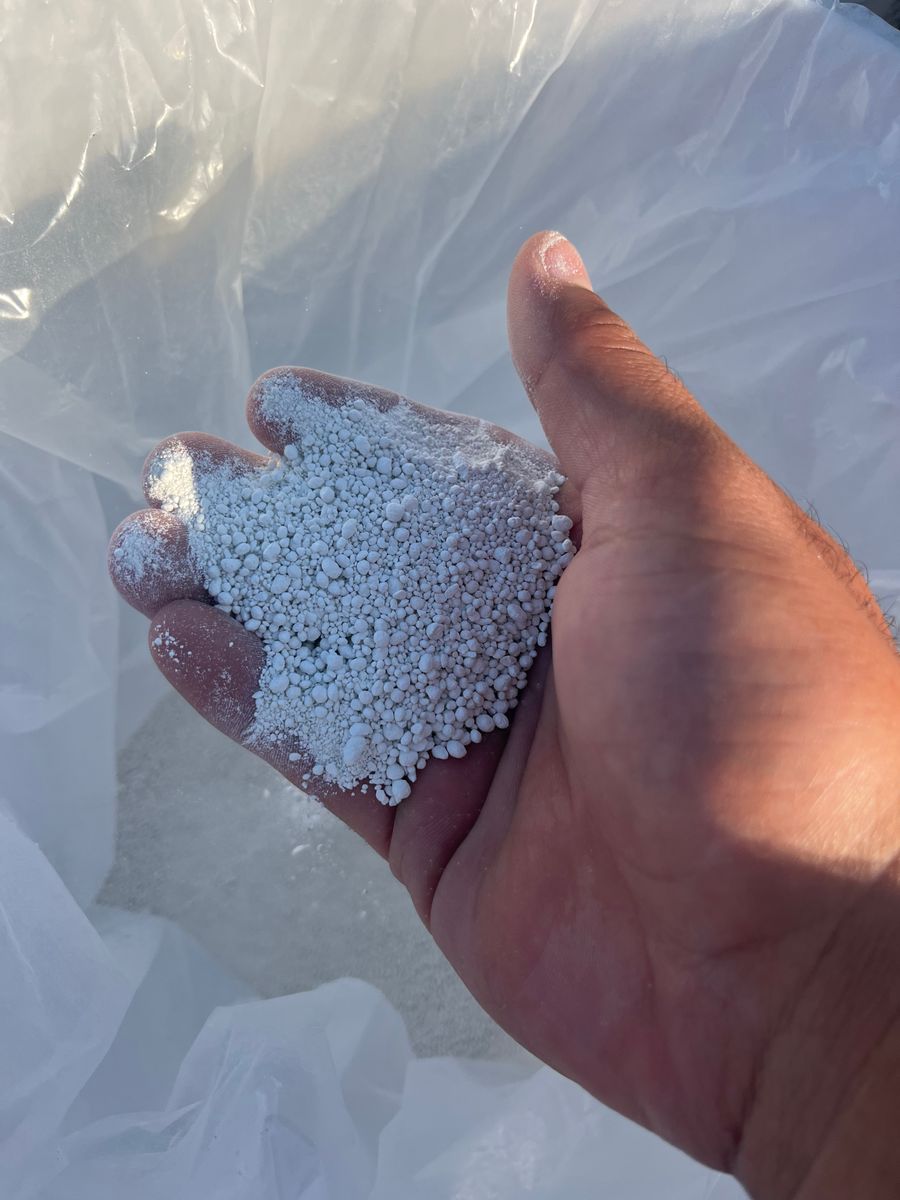 Pool Maintenance for Pool Queen Services in Del Rio, TX