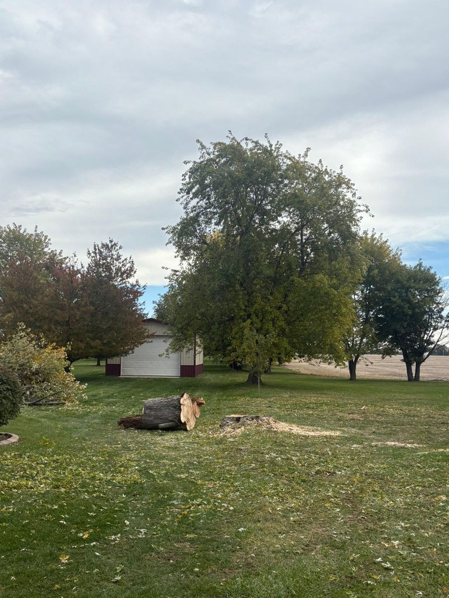 Fall Clean Up for Dig-It Tree Company in Mason, OH