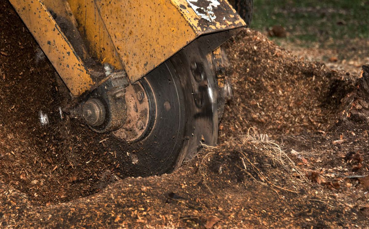 Stump Removal for Man's Asap Landscaping and Handyman Services LLC in Lagrange, GA