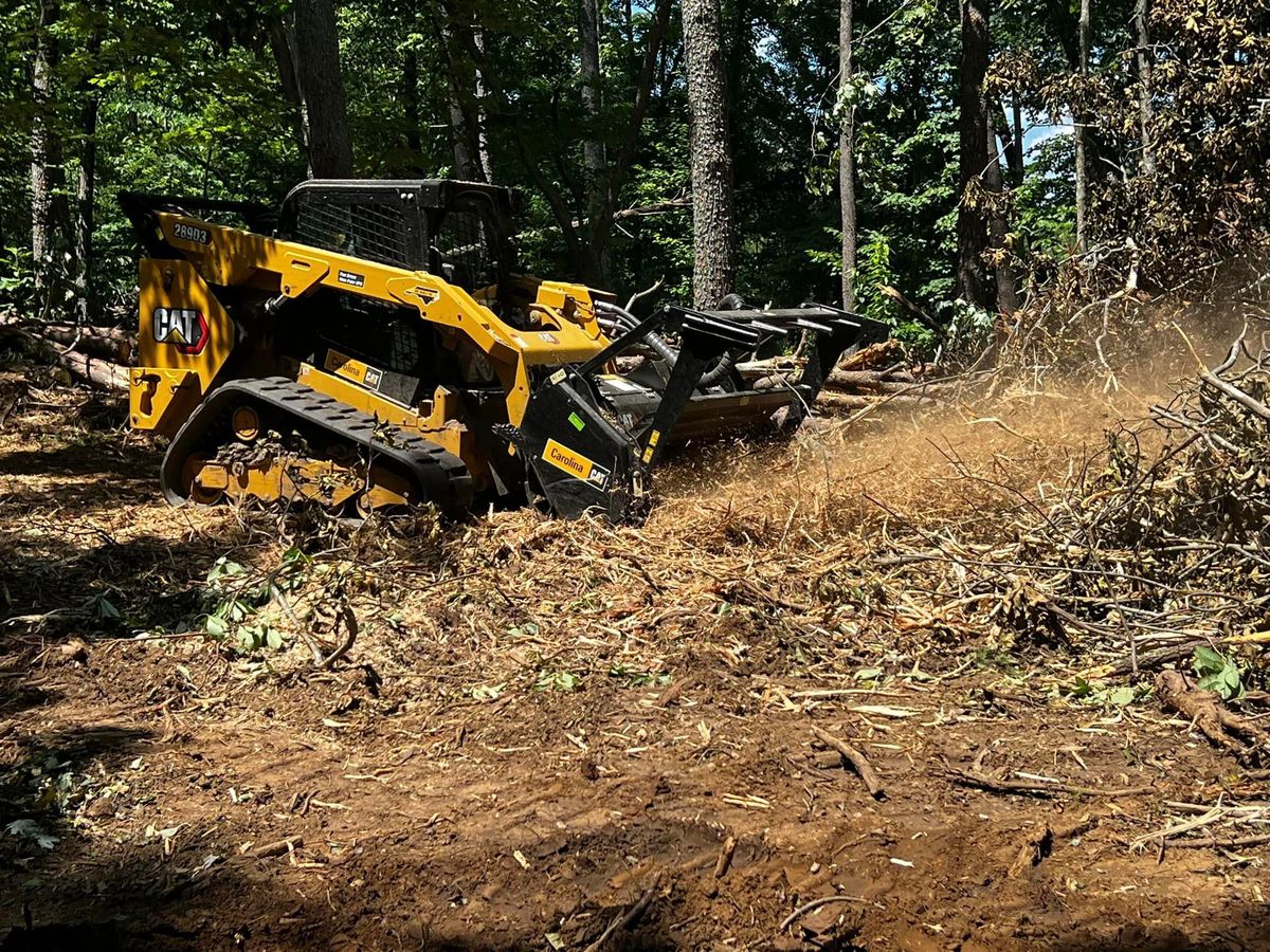 Forestry Mulching for Fav5 Hauling & Grading in Mount Airy, NC