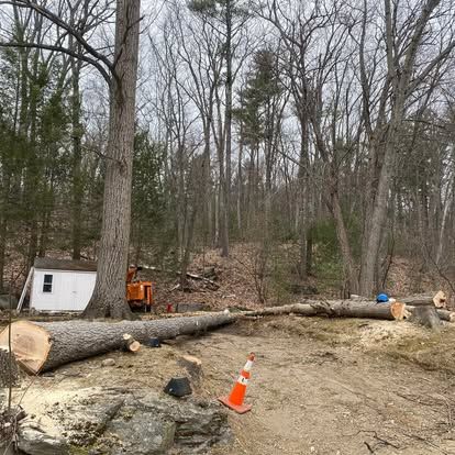 Pruning Services for Baboosic Tree & Landscape in Merrimack, NH