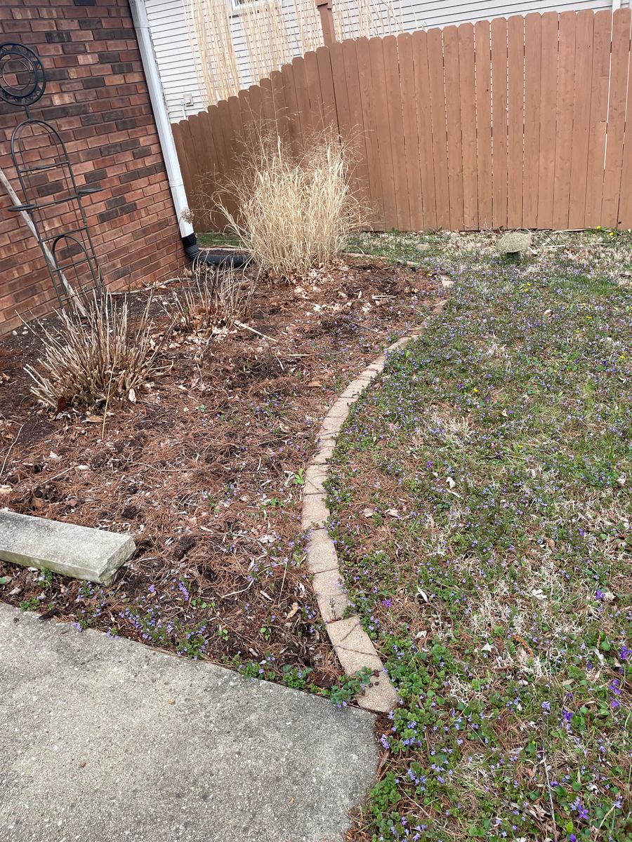 Fall clean up for MDR Landscaping in Urbana, IL
