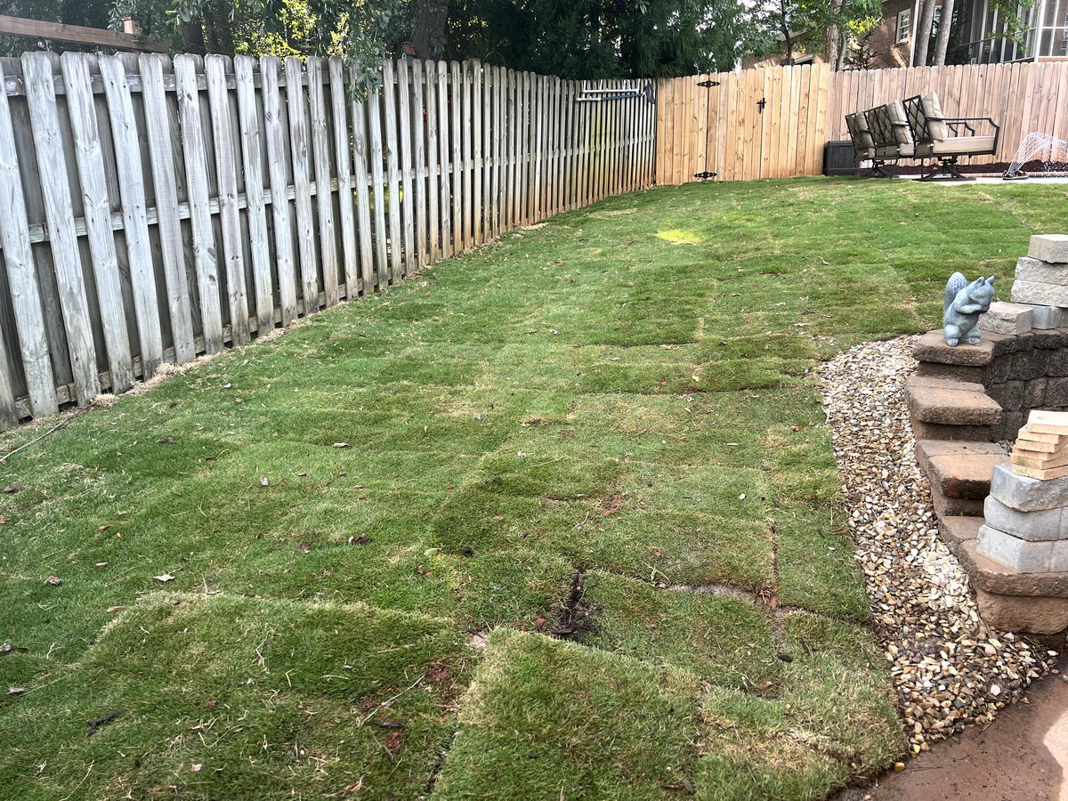 Landscaping for Rescue Grading & Landscaping in Marietta, SC