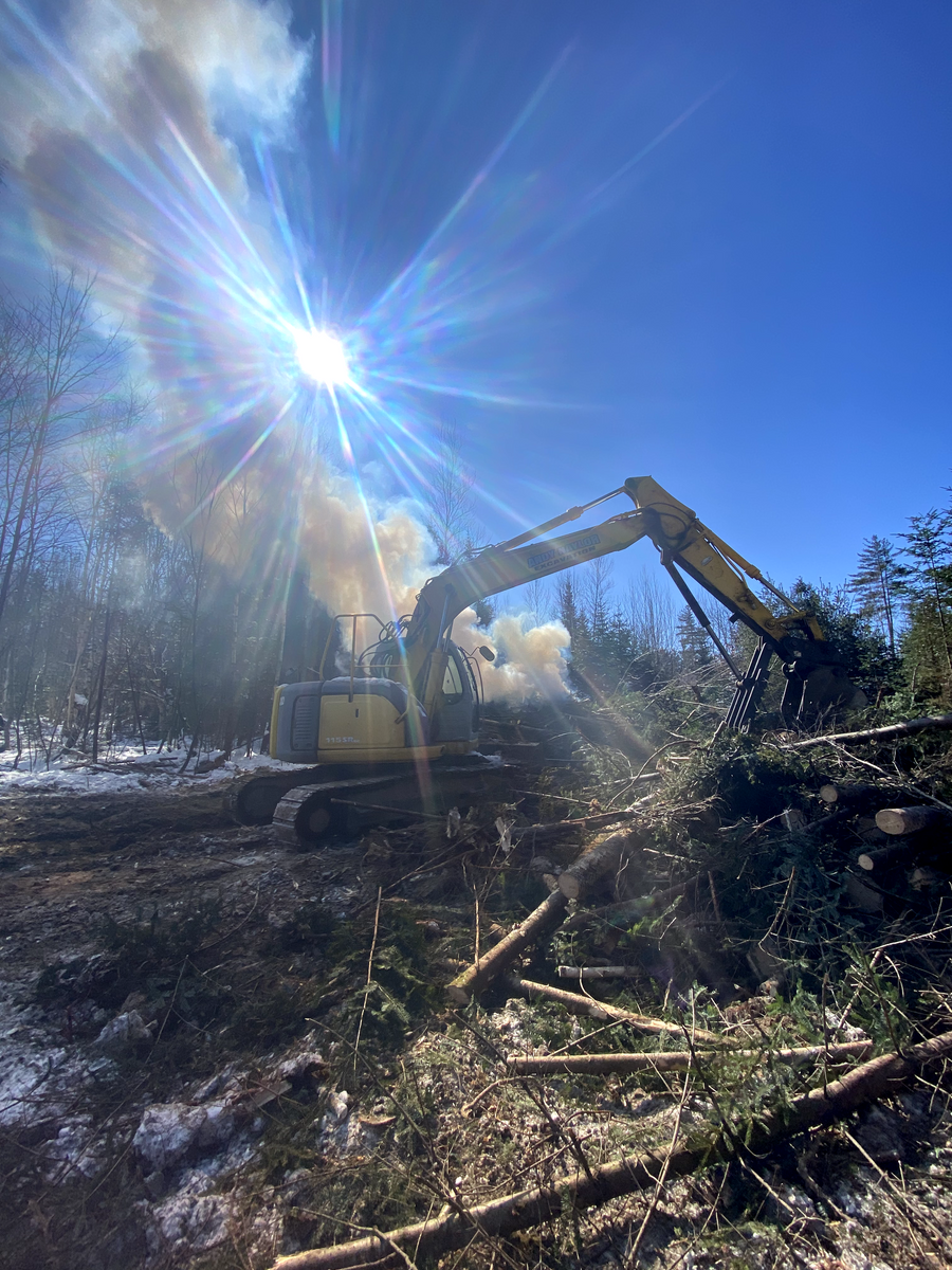 Dangerous Tree Removal for Andy Naylor Excavation in Johnson, VT