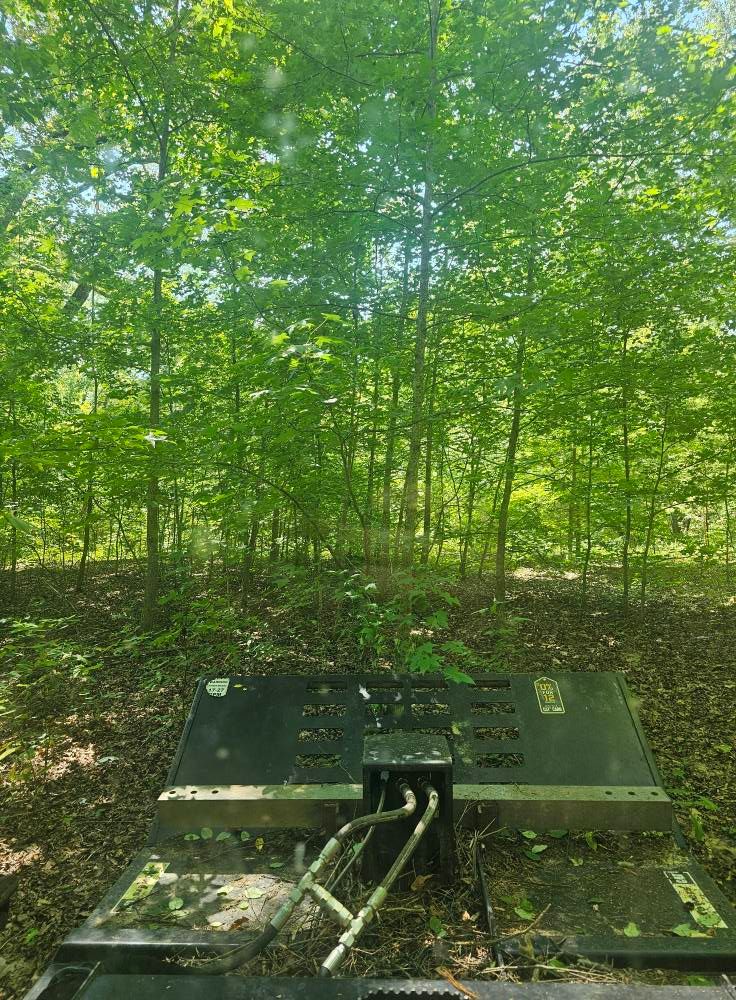 Forestry Mulching for Whaley Land Development in Athens, TN