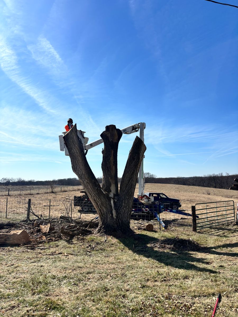 Tree Removal for Cross Family Tree Service in Kearney, MO
