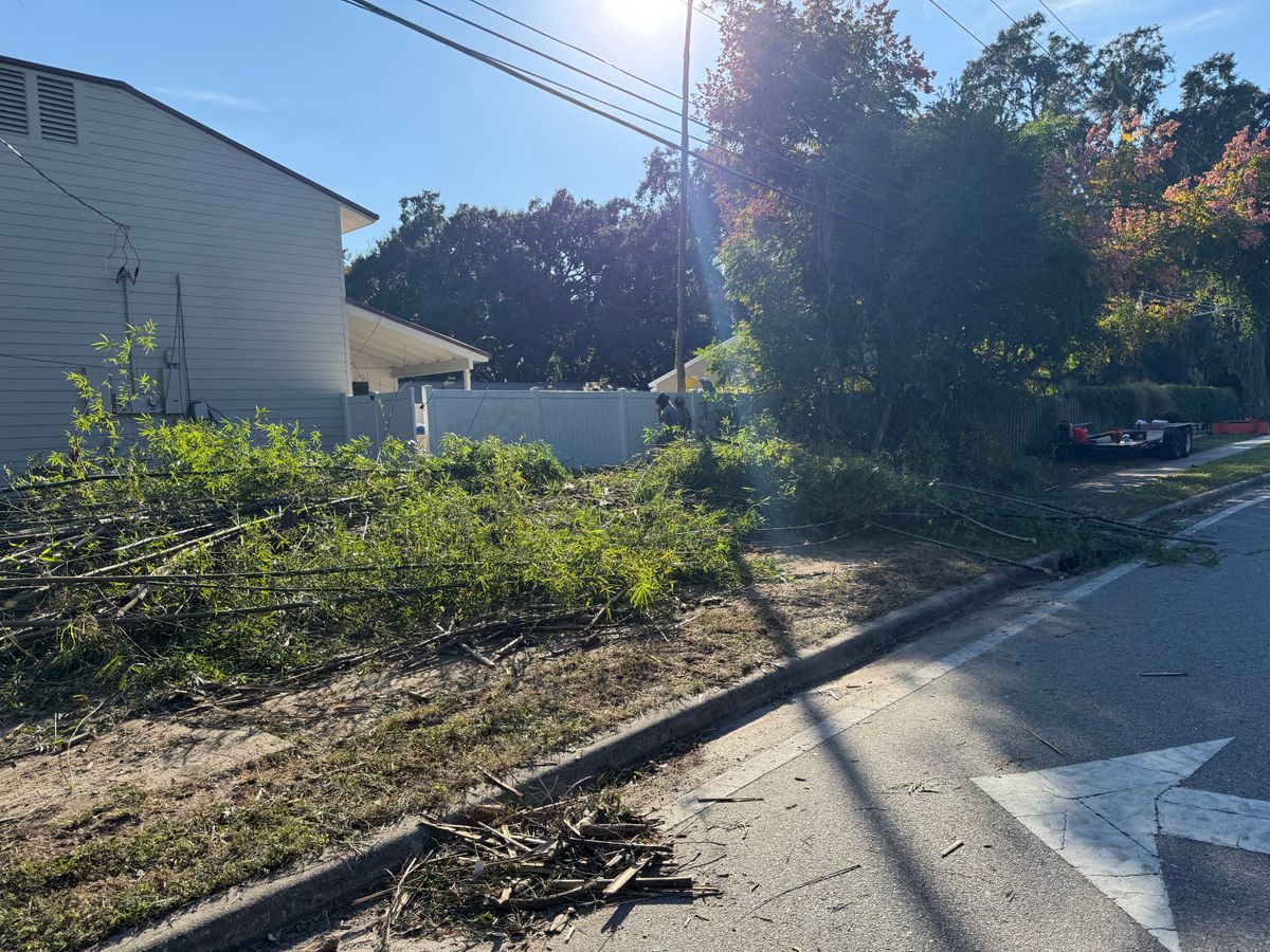 Land Clearing for Amerigrown Tree And Lawn in Apopka, FL