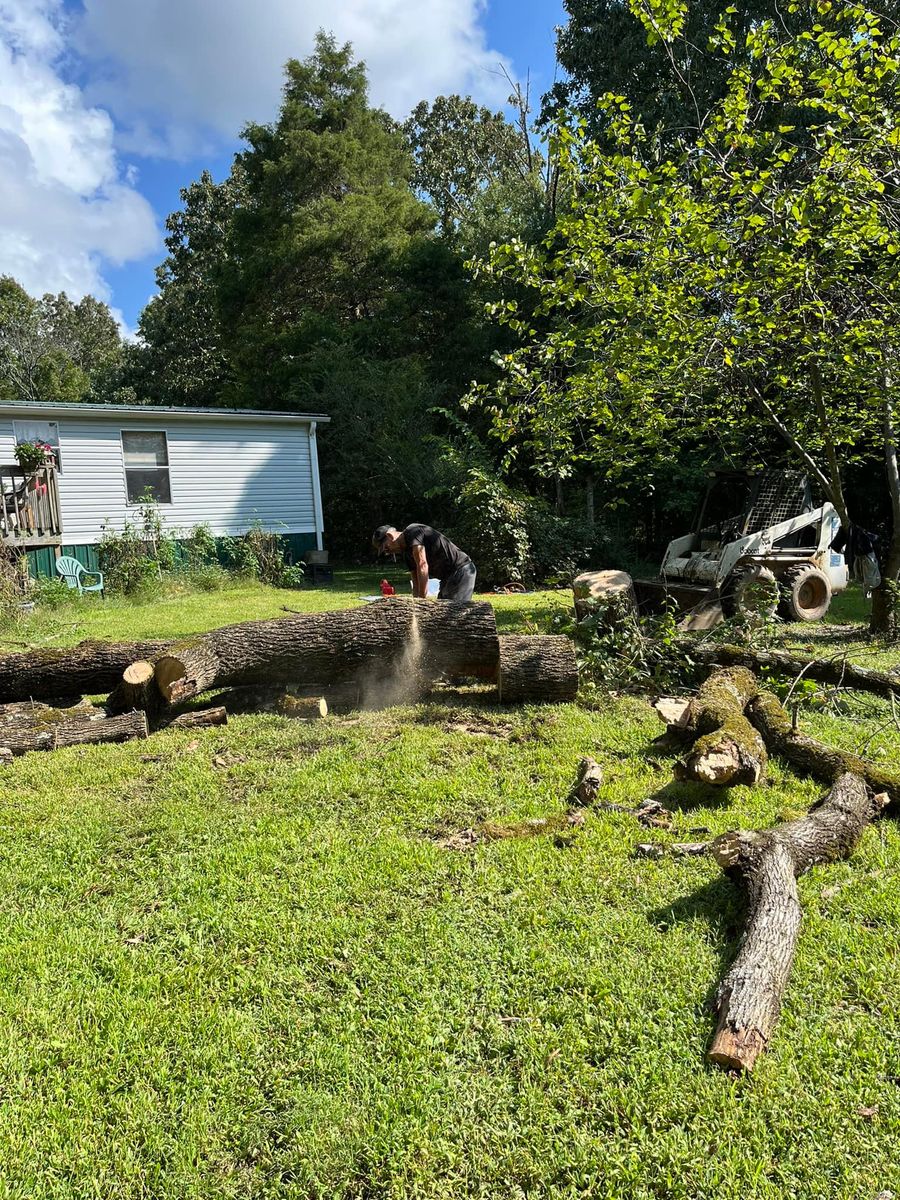 Tree Removal for DW’s Tree Service in Winston-Salem, NC