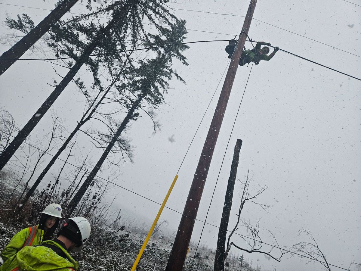 Communication Line Repairs for Hammons Construction LLC in Eugene, OR