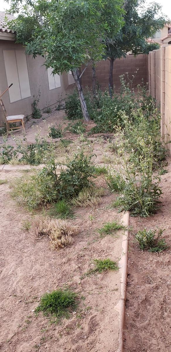 Yard Cleanups for Sunrise Landscape in Maricopa, AZ