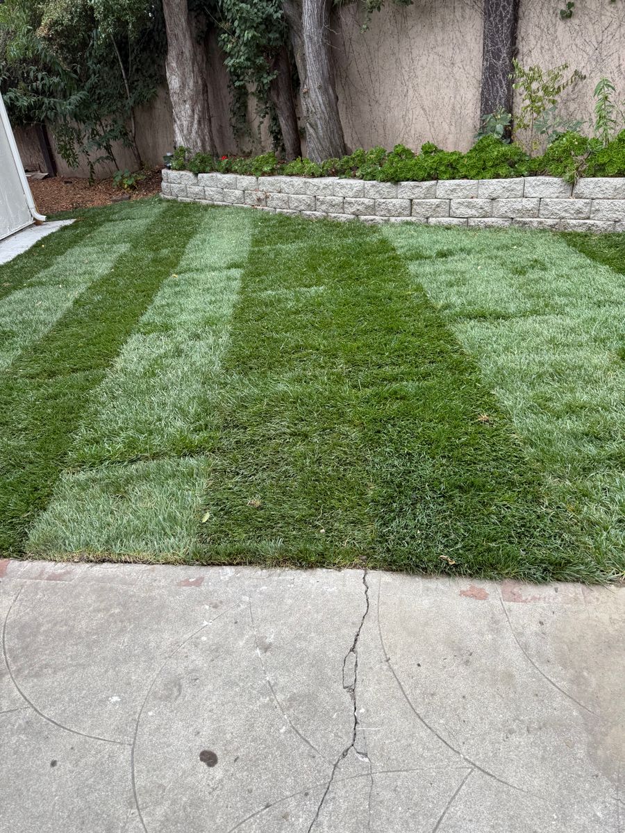Mulch Installation for CBA Landscaping in Hayward, CA