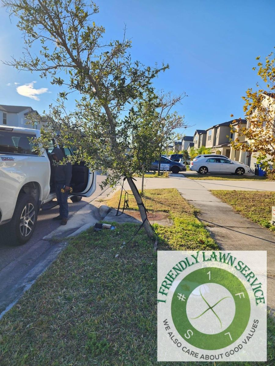 Seasonal Landscape Cleanup for 1 Friendly Lawn Service  in Tampa, FL