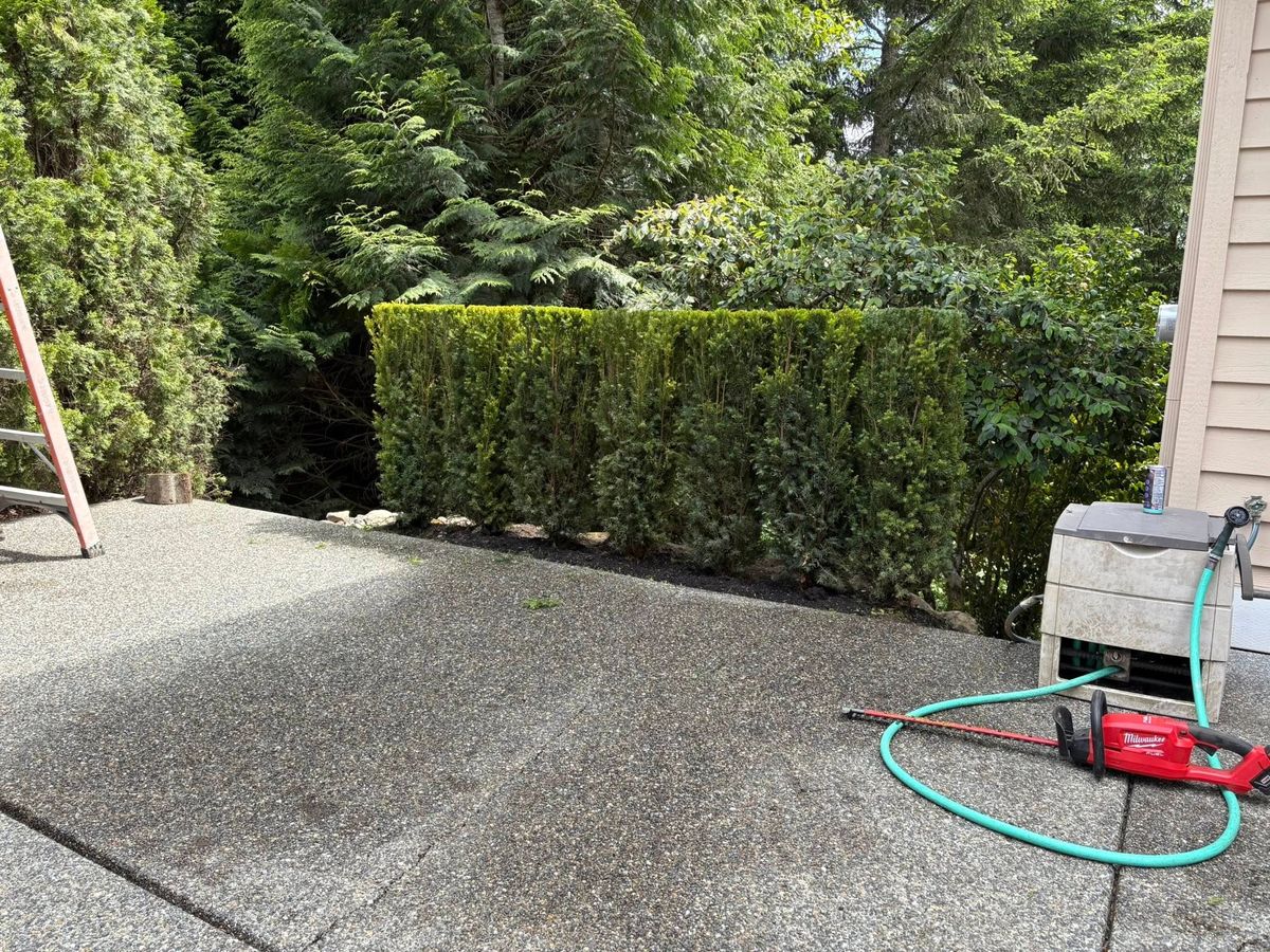 Fall Clean Up for Teo’s Property Maintenance and Solutions in Redmond, WA