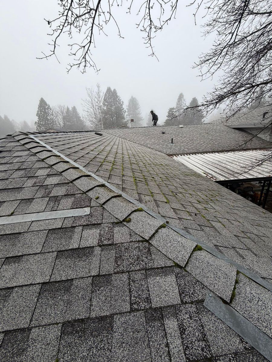 Roof Cleaning for Quality Exterior Upkeep in Spokane, WA