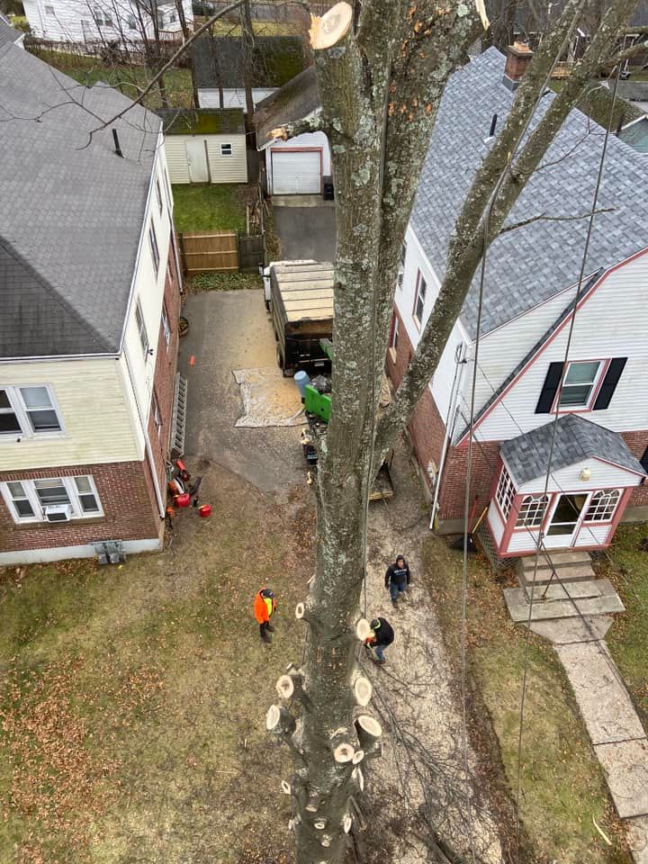 Retaining Walls for Dextre Tree Service in West Hartford, CT