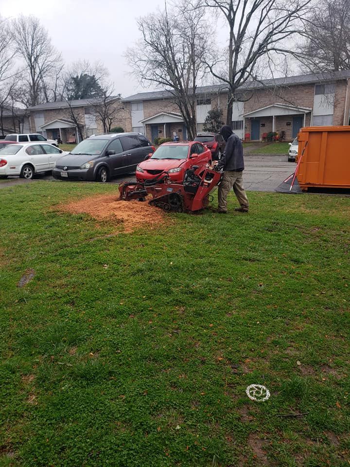 Stump Removal for Rush Tree Specialist in Knoxville, TN