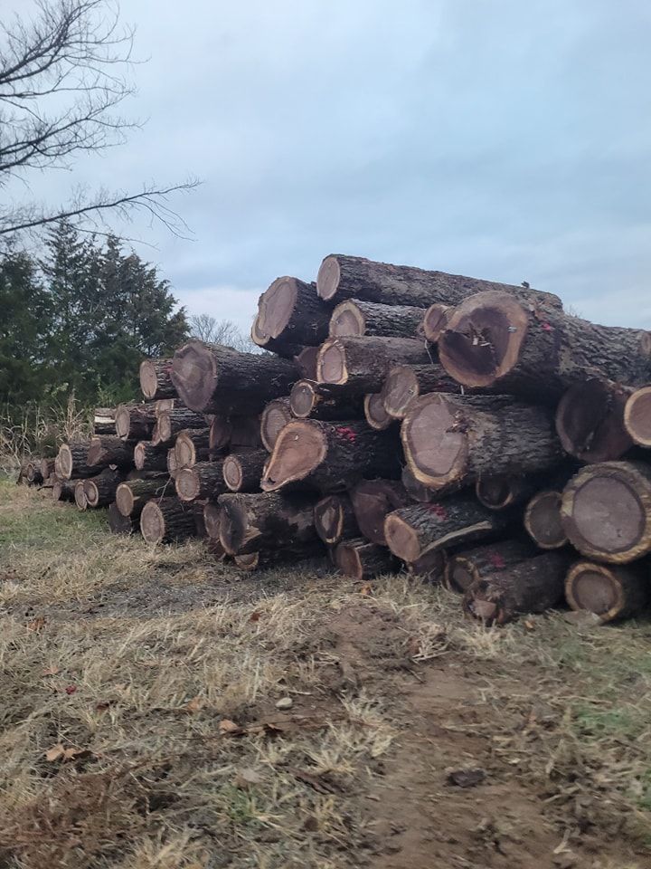 Tree Removal for S & K Excavation LLC in Bonne Terre, MO