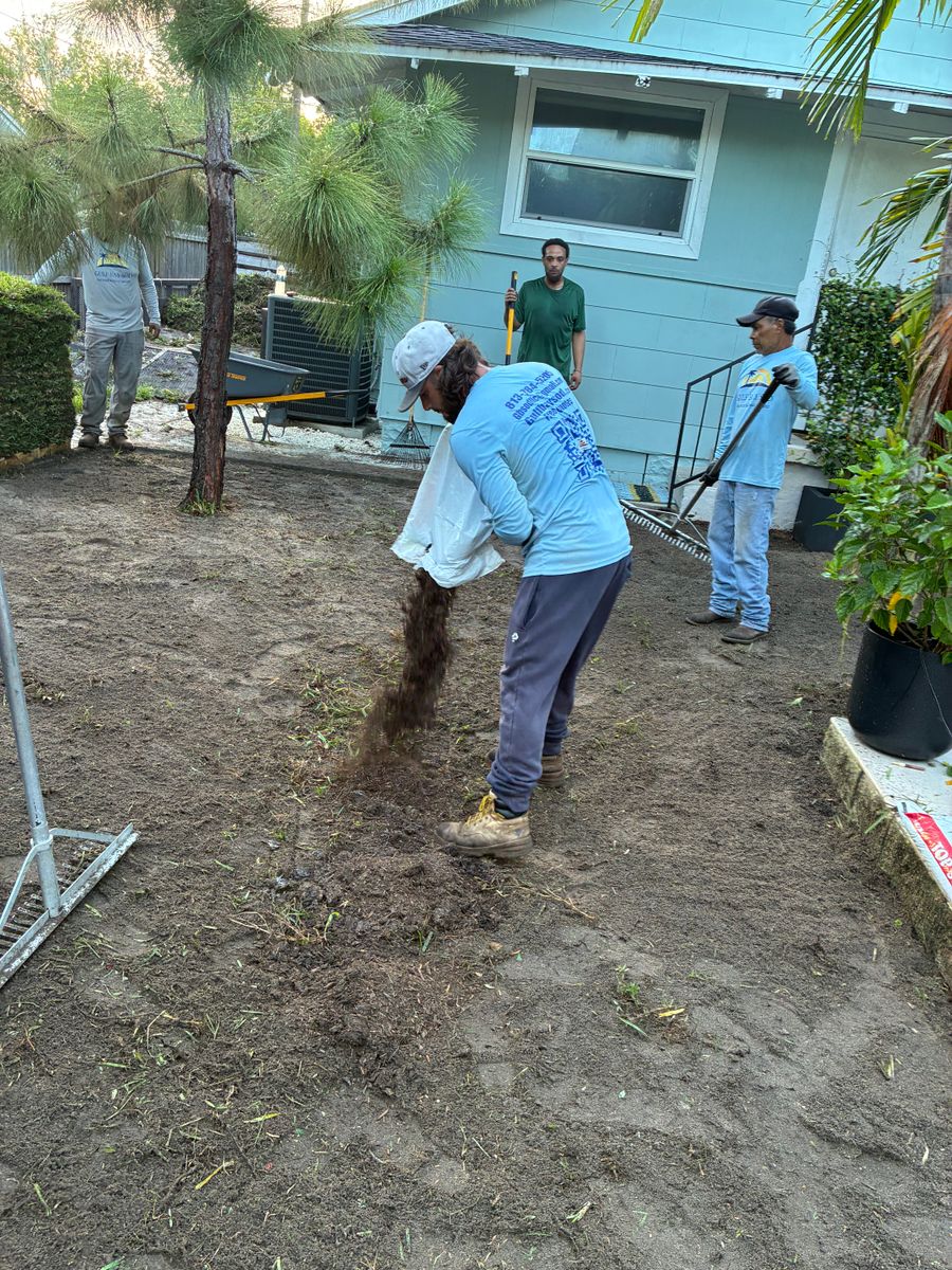 Landscape Design for Gulf Bay Sod in Clearwater, FL