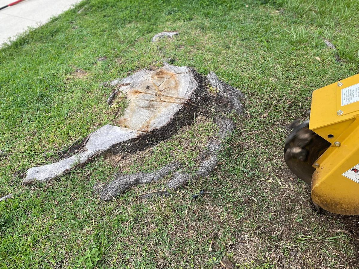 Commercial Stump Grinding for On The Grind Stump Grinding Services LLC in Jacksonville, FL