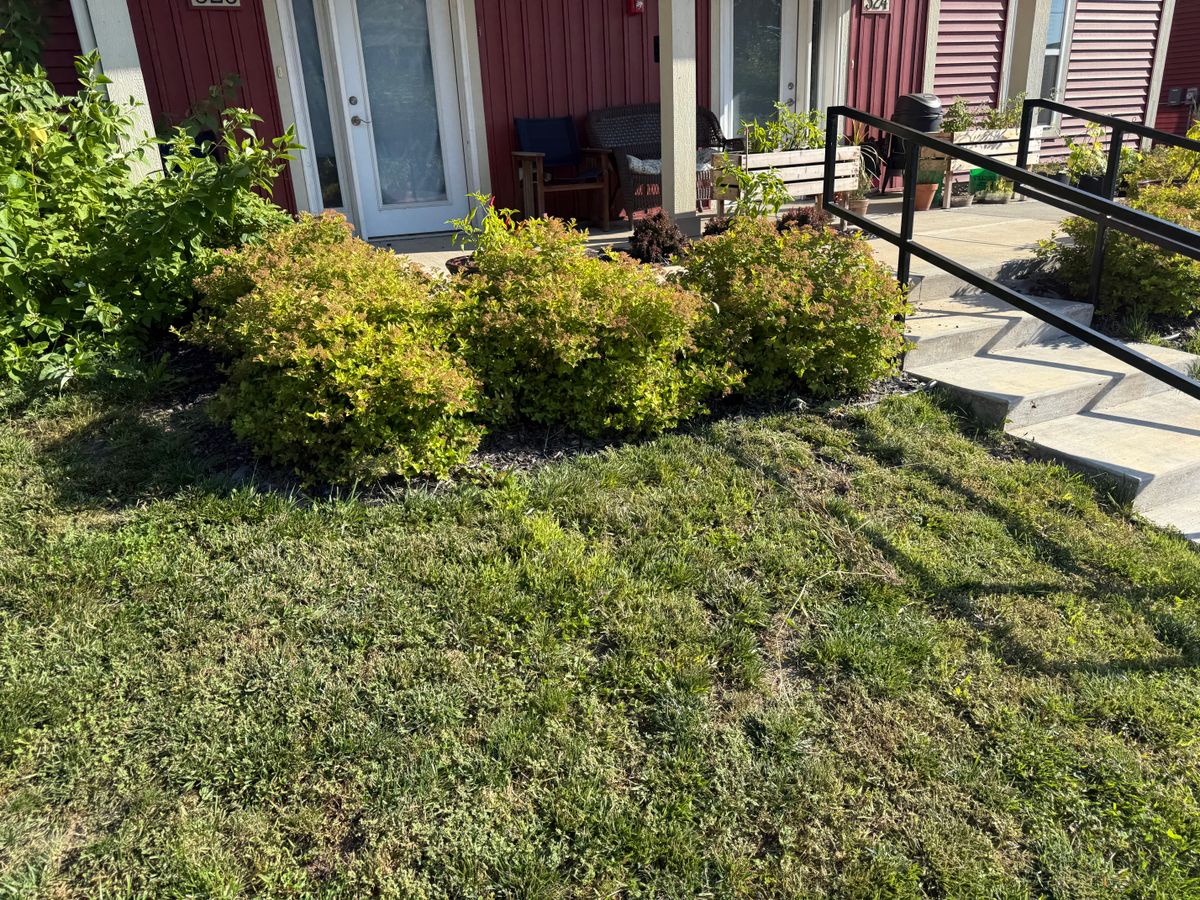 Landscaping and Grass Seeding for Perfect Lawn Solutions LLC in Marshall, WI