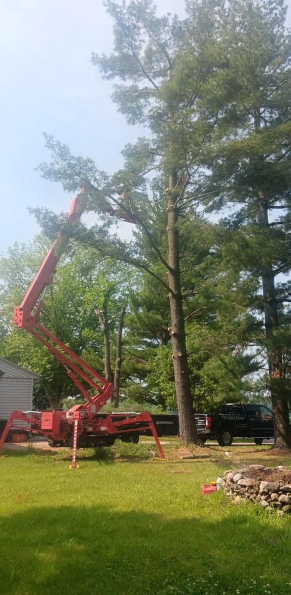 Tree Trimming for Lawn Ranger Yard And Tree Service LLC in Ottumwa, IA